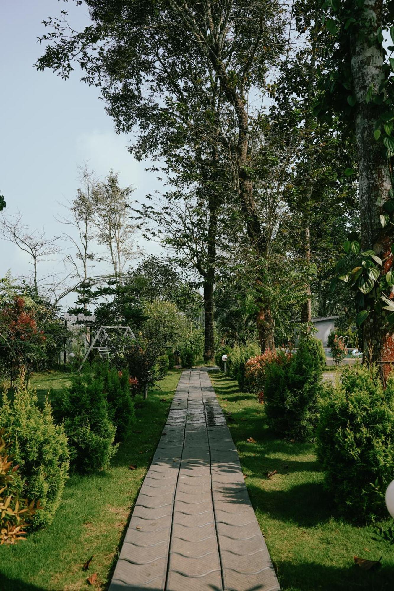 Haze Woods Resort Vaduvanchal Exterior photo
